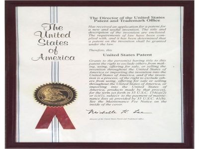 United States Patent